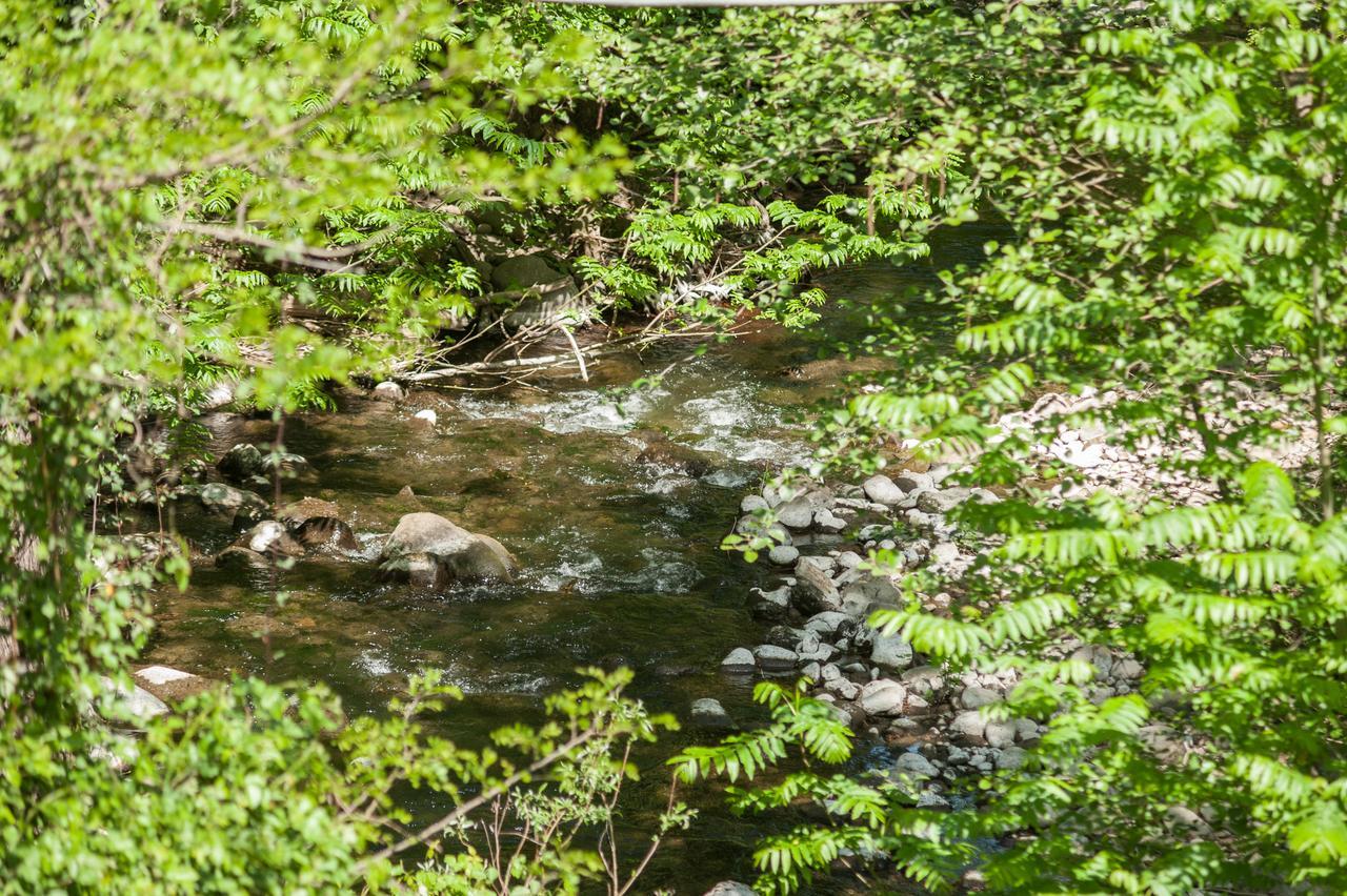 Apartmán Laghi Della Tranquillita' Reggello Exteriér fotografie